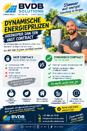 Flyer BVDB-Solutions: dynamische energieprijzen, vast versus dynamisch contract